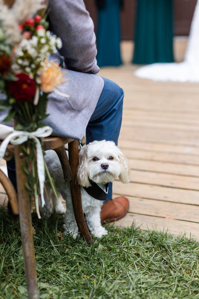 Classic New England Fall Wedding at Stonover Farm